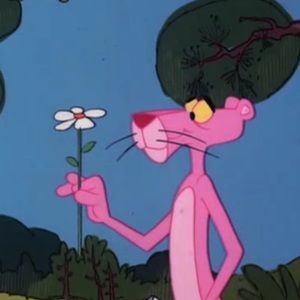 Meet your Posher, Bailey